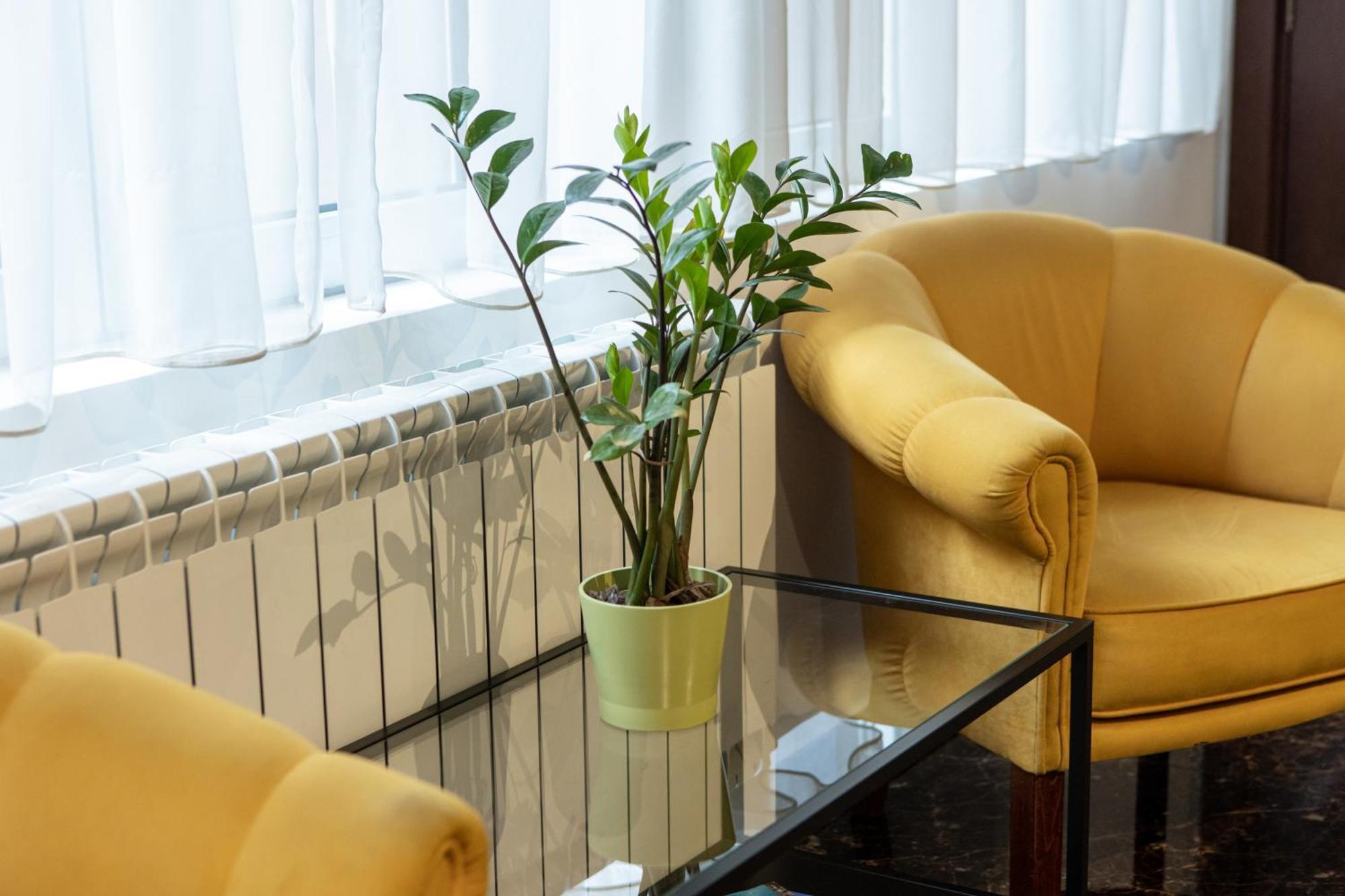 Garni House 46 Plus Belgrad Zewnętrze zdjęcie